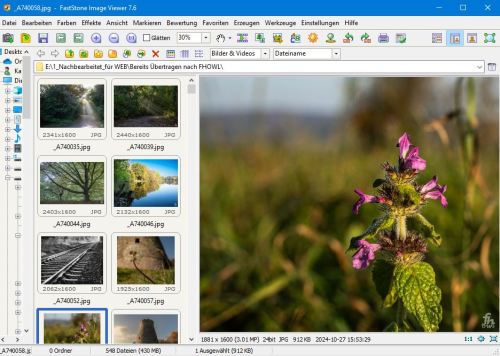 Faststone_image_praesentation