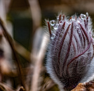A740090-Bearbeitet