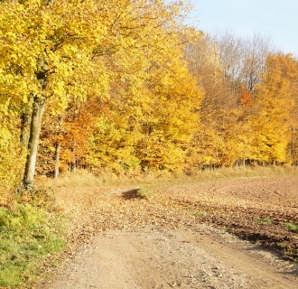 Herbst Impressionen Okt. 2015