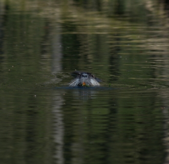 DSC00047
