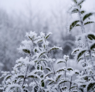 Der Winter holt uns ein